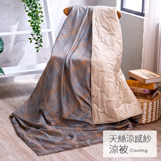 戀家小舖 臺灣製涼被 雷諾瓦 5x6尺涼被 100%天絲 40支天絲 涼感 雙人涼被 瞬間降溫5度