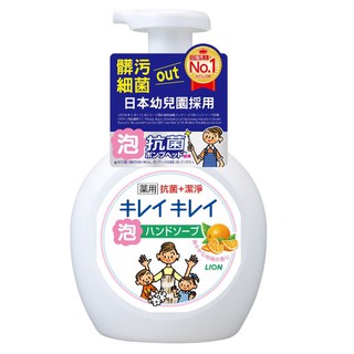 日本獅王 趣淨洗手慕斯 清爽柑橘 250ml 洗手慕斯
