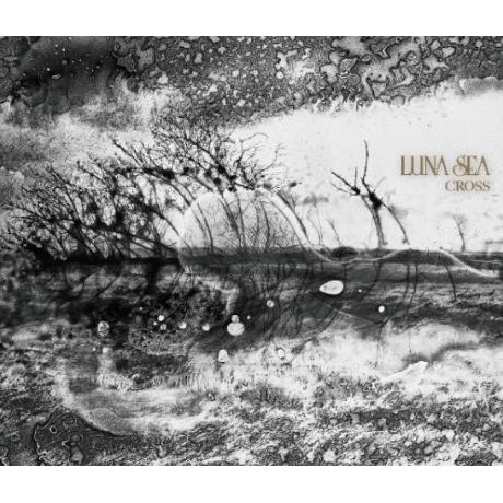 C 初回盤cd Dvd 月之海luna Sea Cross 日本歌曲 蝦皮購物