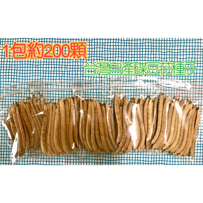 3包$100(也有撥好的) 👍台灣自產蝶豆花種子👍日曬乾燥蝶豆花種子