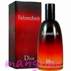 【忙內】Dior Fahrenheit 華氏溫度男性淡香水 100ml