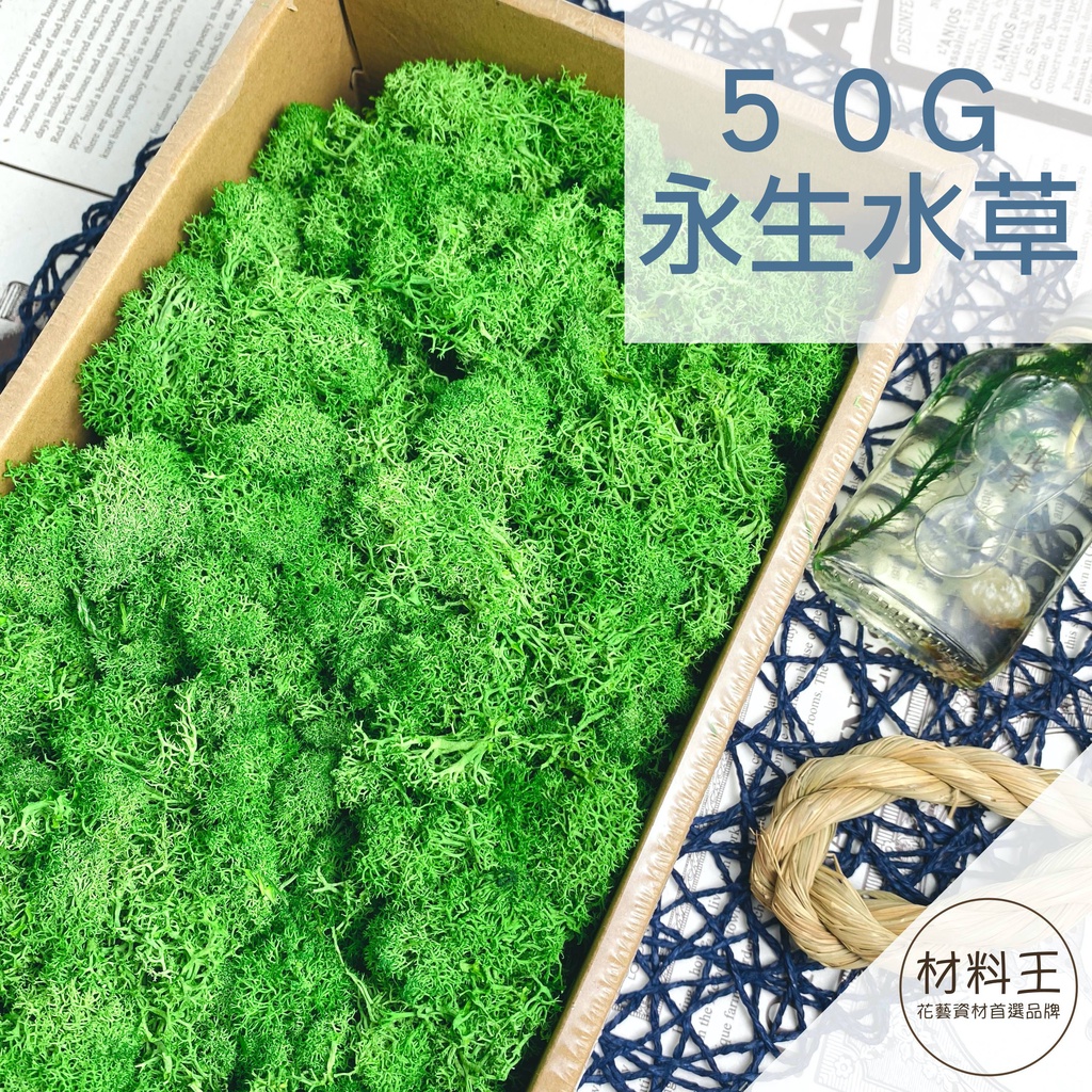 永生水草苔蘚馴鹿苔苔蘚 ５０克裝多種顏色 苔蘚水草永生花乾燥花現貨 蝦皮購物