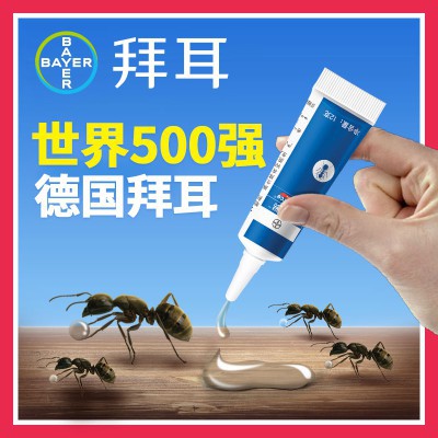 正貨5g德國拜耳進口螞蟻藥拜滅易滅蟻餌劑除殺螞蟻殺蟲劑家用室內一窩端進口 蝦皮購物