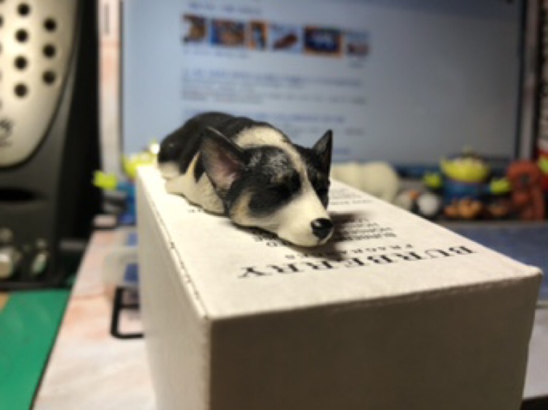 爆睡犬爆睡柯基日本盒玩可送禮自用磁鐵設計狗擺飾玩具公仔黑色趴睡柯基 蝦皮購物