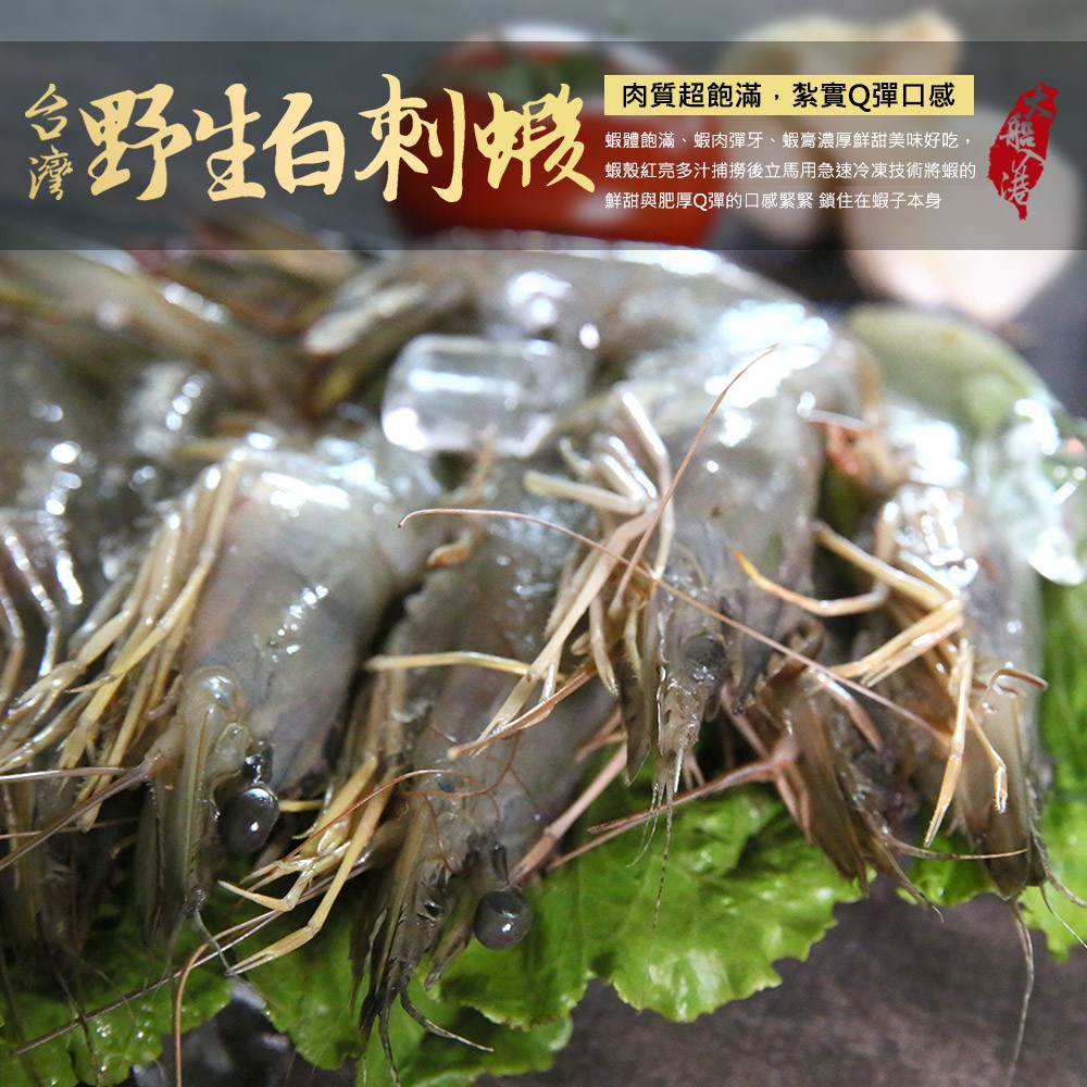 【大船入港】台灣野生白刺蝦