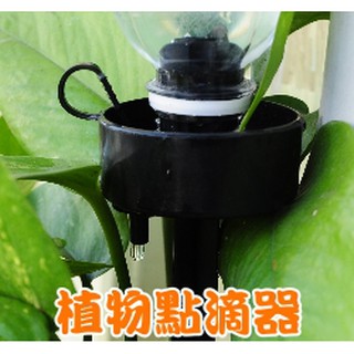 【全館590免運】寶特瓶用植物點滴器(自動澆水器)-單支入-盆栽澆水器 保特瓶 花圃自動供水