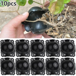 10pcs 植物生殖設備高壓傳播球嫁接盒用於花園嫁接盒的飼養箱