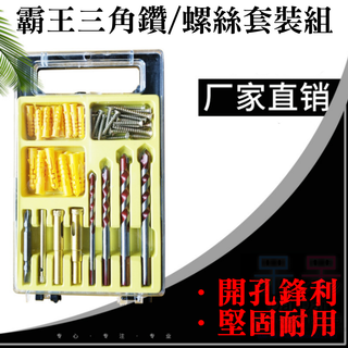 【呆灣現貨】多功能霸王鑽/螺絲/壁虎套裝組（M6-M12）＃瓷磚水泥牆壁打孔 打眼 金屬打孔鑽頭 塑膠壁虎 4mm螺絲