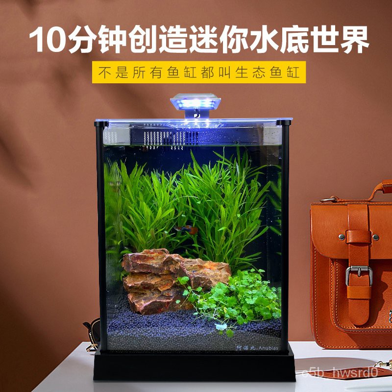 熱銷 阿諾比超白玻璃魚缸桌面小型懶人水草造景套餐生態水族箱靜音過濾 魚缸 蝦皮購物