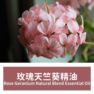 【馥靖精油】玫瑰天竺葵精油 Rose Geranium Natural Blend Essential Oil