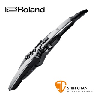 Roland Aerophone Pro AE-30 專業級 電吹管 電子吹管 原廠公司貨兩年保固