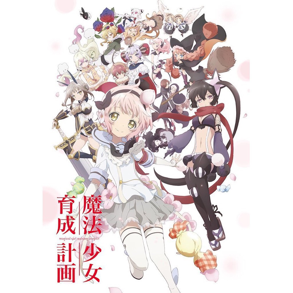 全新dvd 全新 17年一月新番動漫魔法少女育成計劃 Dvd光碟 蝦皮購物