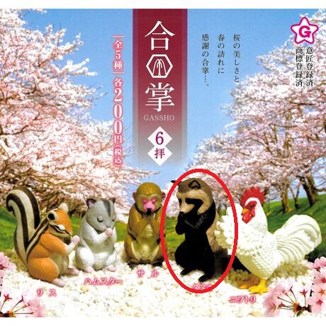 【日本正版】合掌祈福動物 P6 扭蛋 轉蛋 GASSHO 合掌動物 浣熊
