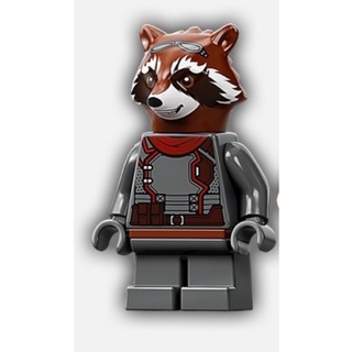樂高 LEGO 浣熊（76193）