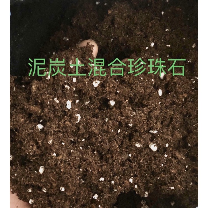 綠之源-泥炭土混合珍珠石5公升 花土 園藝 盆栽 育苗 觀葉 花卉