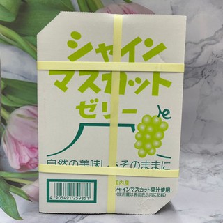 ［大貨臺日］日本 果凍箱 蒟蒻果凍箱 麝香葡萄/水蜜桃/哈蜜瓜/草莓/葡萄/蘋果 多款供選 北辰 AS