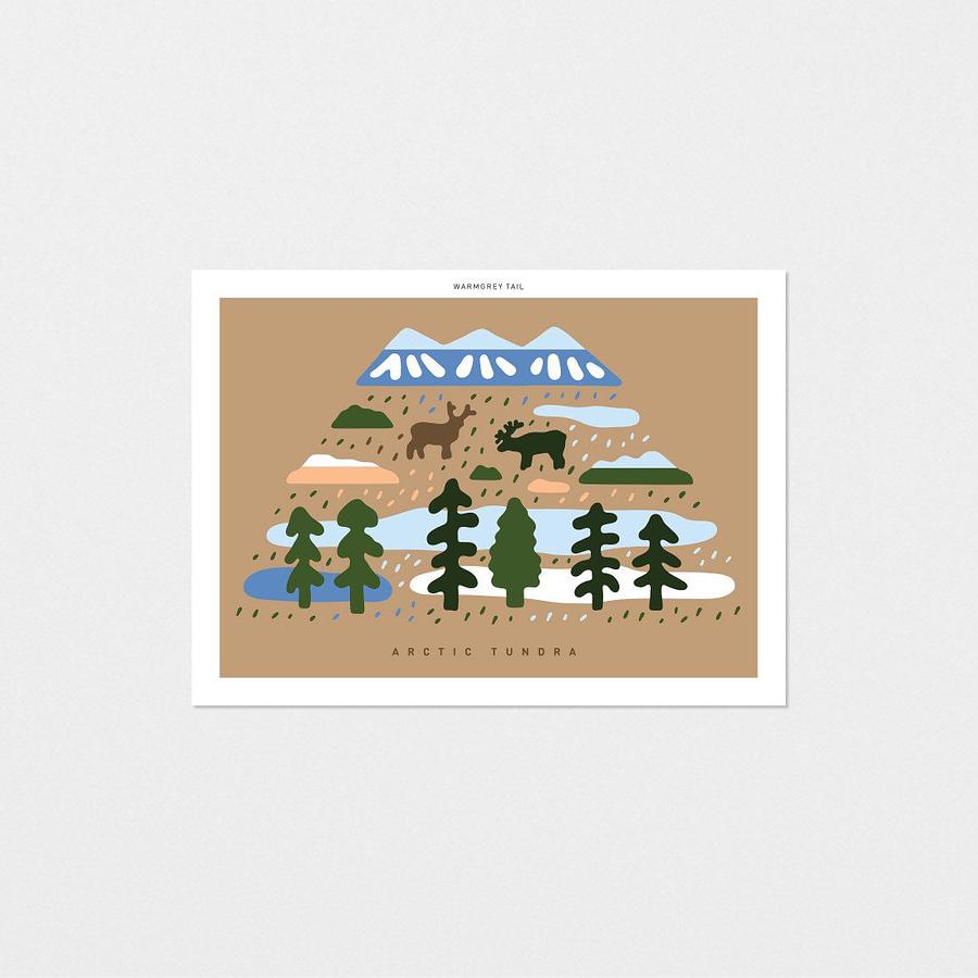 WARMGREY TAIL Postcard/ Tundra Land eslite誠品