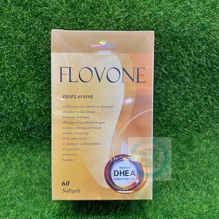 康心 芙蕾蒙大豆異黃酮素複方軟膠囊60顆 加拿大進口 含DHEA㊣阿寶㊣
