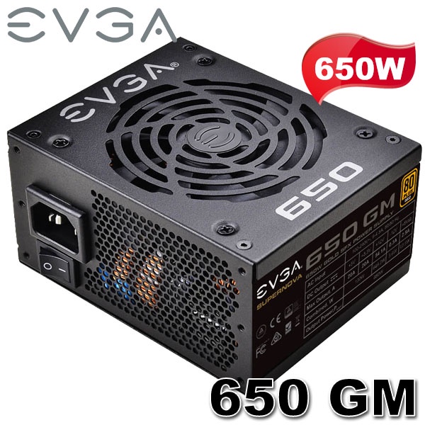 【MR3C】限量 含稅 EVGA艾維克 650W 650 GM SFX 80PLUS金牌 全模組化 電源供應器