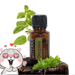 現貨💥 dō TERRA 多特瑞 牛至 精油👍原廠公司貨