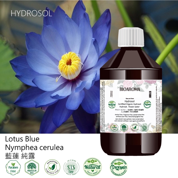 芳香療網 藍蓮有機花水純露lotus Blue Nymphea Cerulea 蝦皮購物