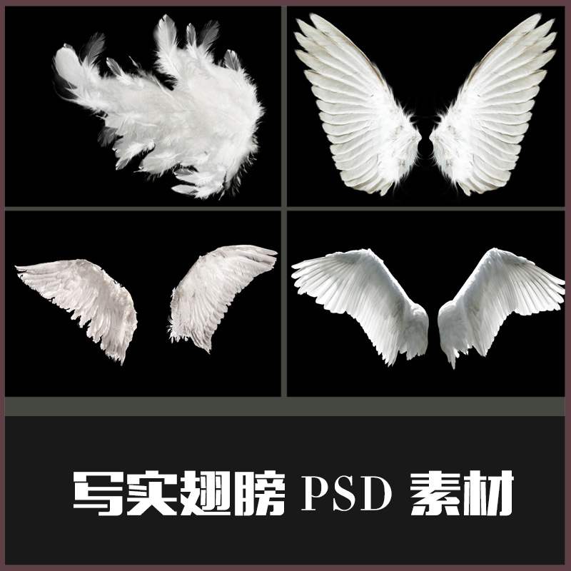 修圖ps創意真實天使翅膀png Psd素材兒童寫真攝影后期合成素材 蝦皮購物