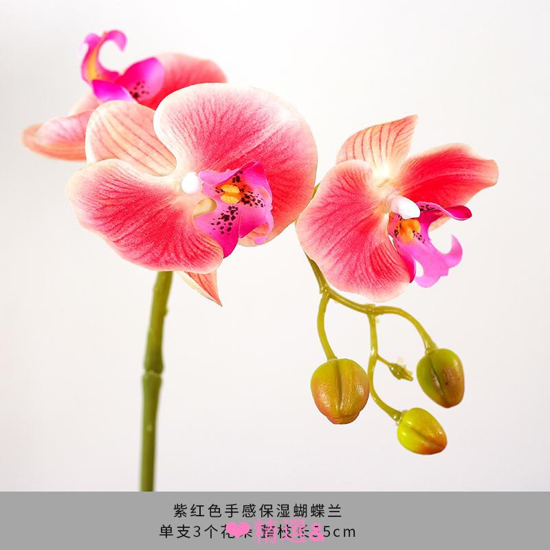 精選品質單枝蝴蝶蘭仿真花客廳插花餐桌花束手感保濕假花裝飾花藝花材套裝 蝦皮購物