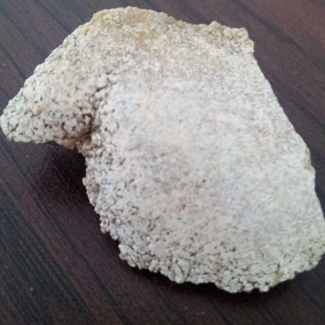 北投石 4900 蝦皮購物