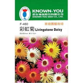 種子王國 彩虹菊 混合色【花卉種子】農友牌 小包裝種子 約100粒/包