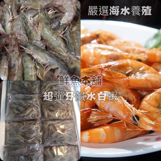 【嚴選正宗鹹水系列】引海水養殖 正鹹水白蝦 約50尾/斤