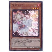 【卡の家】遊戲王 PAC1-JP016 QCDB-JP021 灰流麗 灰流晴 (亮面)