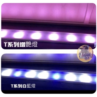🐳UP雅柏 T系列 小跨燈 增艷燈 太陽燈 藍白燈 伸縮腳架（30cm/36cm/45cm/60cm）LED水族燈