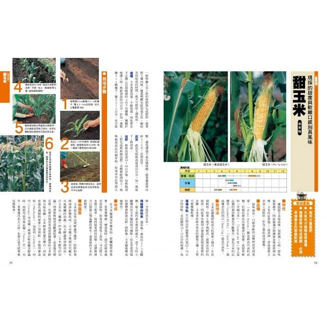 新手種菜100招 自己種出70種家常菜 蝦皮購物