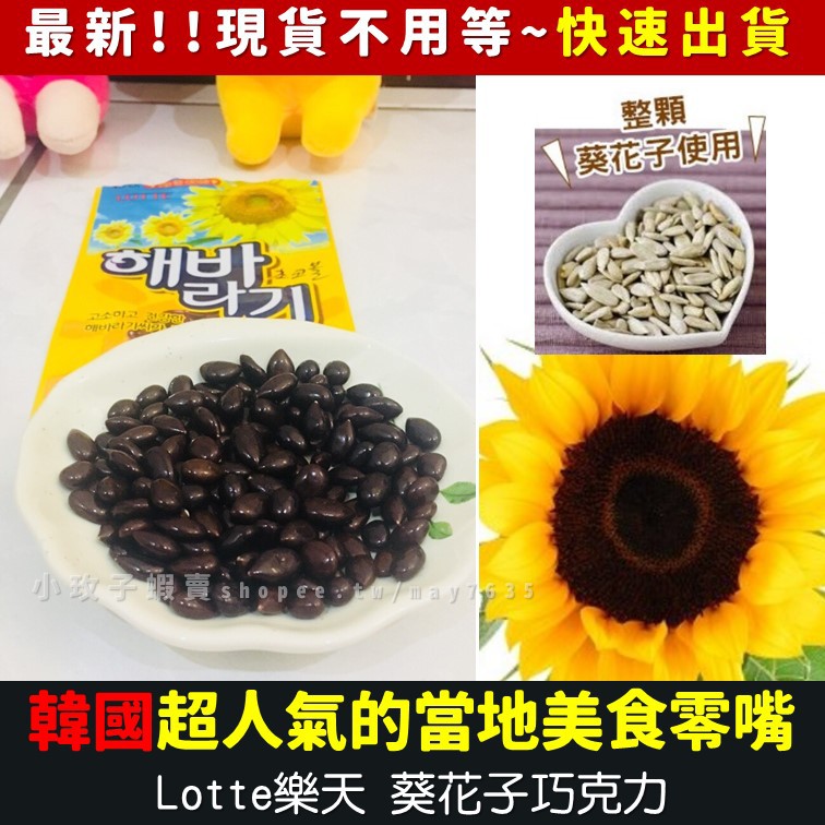 韓國lotte樂天 葵花籽巧克力豆葵瓜子巧克力豆 蝦皮購物