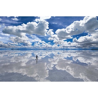 Epoch 世界之鏡 烏尤尼鹽湖 1500片 拼圖總動員 風景 日本進口拼圖