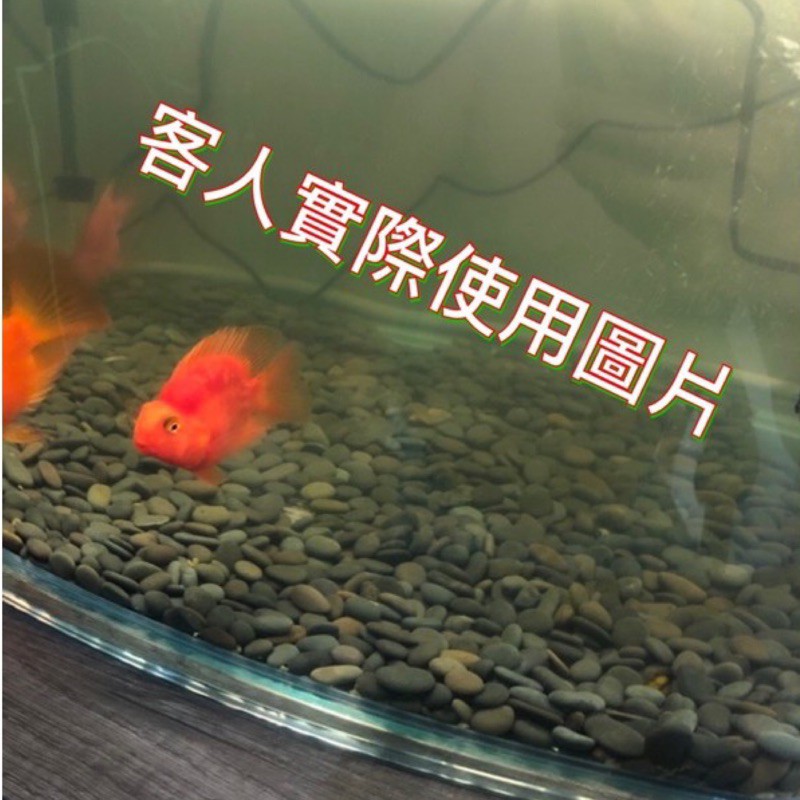 水族最便宜 黑扁石魚缸底砂適合中性魚種使用1kg散裝 蝦皮購物