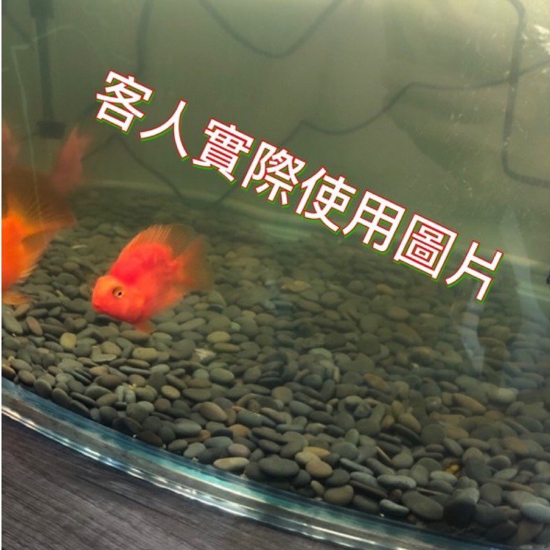 ［水族最便宜］黑扁石 黑膽石 魚缸底砂 金魚底砂 適合中性魚種使用 1Kg散裝