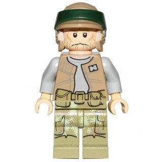 玩樂趣 LEGO樂高 75094  Endor Rebel Trooper 2(sw0646)
