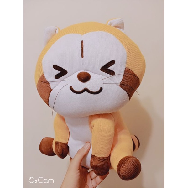 拉斯卡爾 rascal 超可愛的超大隻小浣熊 日本拉斯卡爾 坐姿小浣熊 小浣熊娃娃玩偶 開心小浣熊 娃娃 情人節禮物