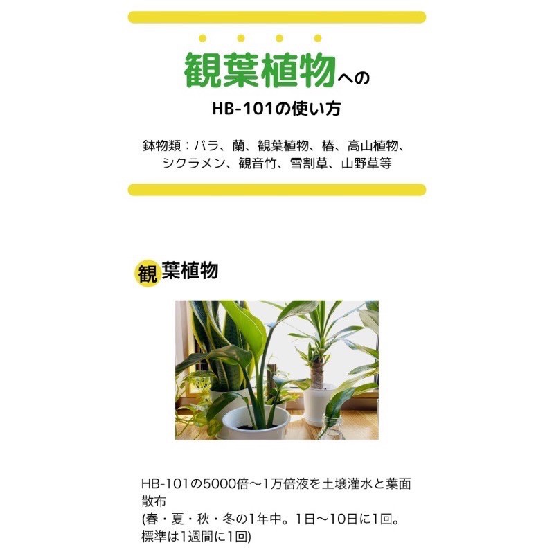 Hao Plants 日本製造hb101 植物活力神水原瓶原裝觀葉植物 鹿角蕨 多肉 塊根適用肥料營養液 蝦皮購物