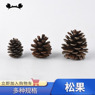 *5號模具館* DIY手工螃蟹王國建築模型材料手工製作材料裝飾兒童手工材料 松果