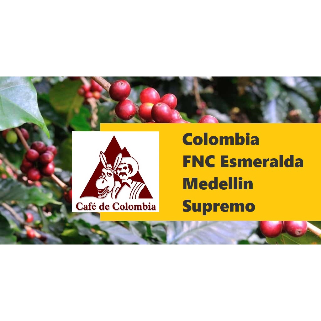 生豆︱哥倫比亞 FNC 綠翡翠 美德林產區 Supremo 咖啡生豆 COFFEE BEAN︱Click Buy＠可立買