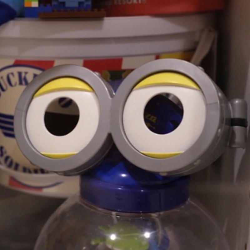 minion glasses 小小兵眼鏡 環球影城