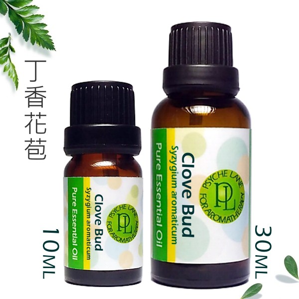 PL 丁香花苞純精油 10/30ml。Clove Bud