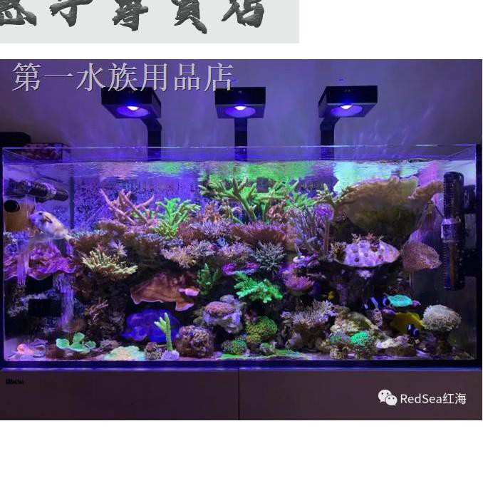 現貨熱銷 卍以色列redsea紅海led專業海水海缸燈具珊瑚燈具led 50w 90w 160w 惠子專賣店 蝦皮購物