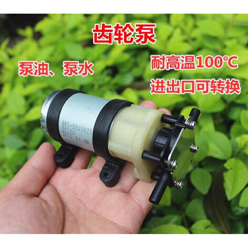 全新庫存 550 齒輪泵 耐高溫 循環 抽油泵 微型 高壓泵 直流12V 換機油 齒輪油