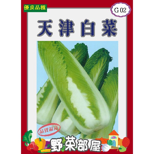 【萌田種子~】G02 日本天津白菜種子0.65公克 , 長型竹筍白菜, 每包16元~
