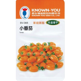 種子王國 小番茄 Tomato(sv-365．橙黃) 【蔬菜種子】農友種苗特選種子 每包約20粒