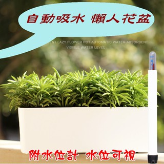 【景賢園】N136 可視水位 長方形懶人花盆 附水位計 多肉花盆 種菜盆 草莓 蘭花 自動吸水 自動澆水 自動灌溉花盆