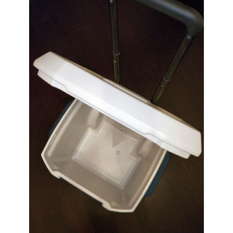 二手冰桶 Ptt Dcard討論與高評價網拍商品 2021年11月 飛比價格